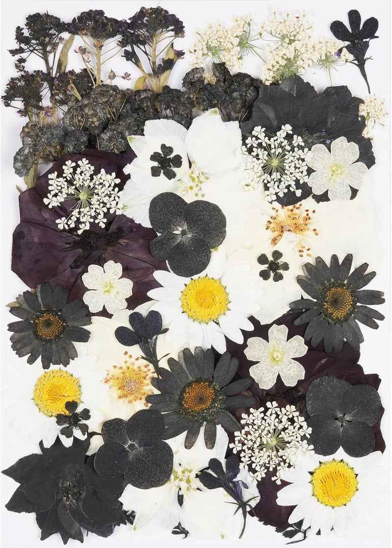 Xinxinran 40Pcs Black Dried Pressed Flowers for Crafts, Dry Flower Kit for Resin Molds,Epoxy Resin Accessories,Bookmark,Nails, Jewelry Molds,Candle Making Supplies,Soap,Cake - Image 1